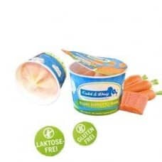 COLD AND DOG SALMON AND CARROT FROZEN YOGURT 90G