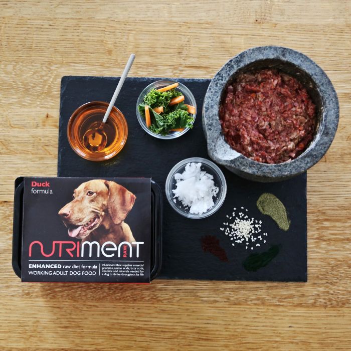 Nutriment dinner for dogs 2025