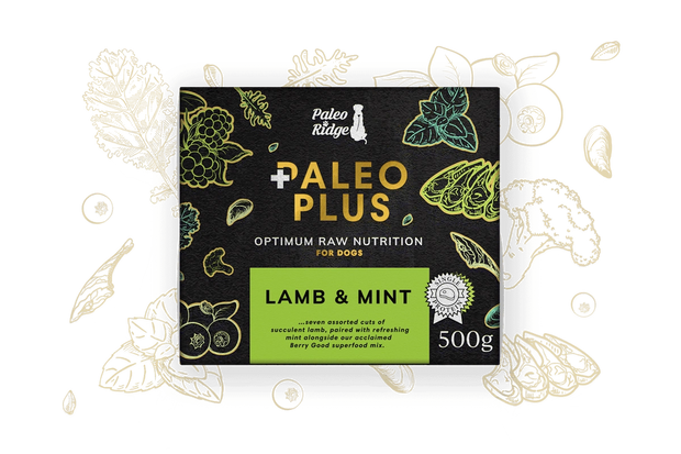 PALEO RIDGE PALEO PLUS LAMB AND MINT 500G