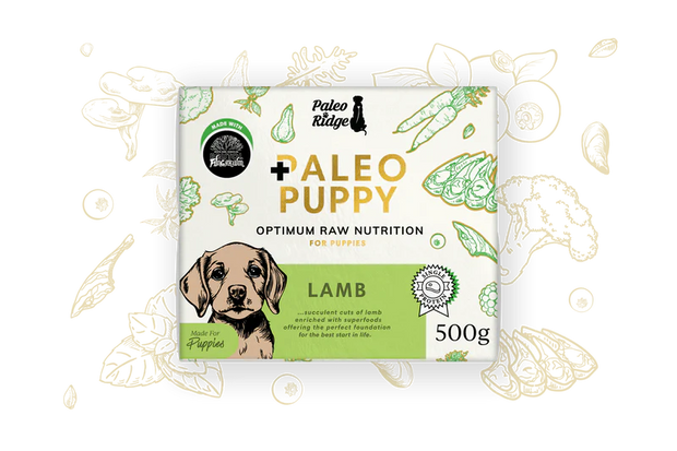 Paleo Ridge Puppy Lamb 500G