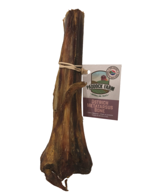OSTRICH BONE , MEDIUM X 1