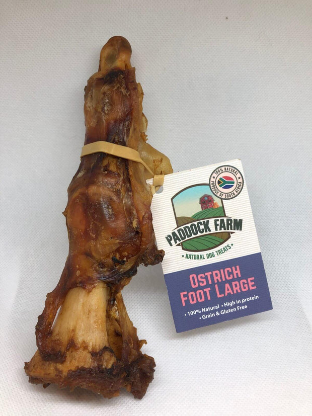 OSTRICH FOOT LARGE X 1