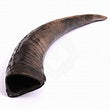 BUFFALO HORN LARGE